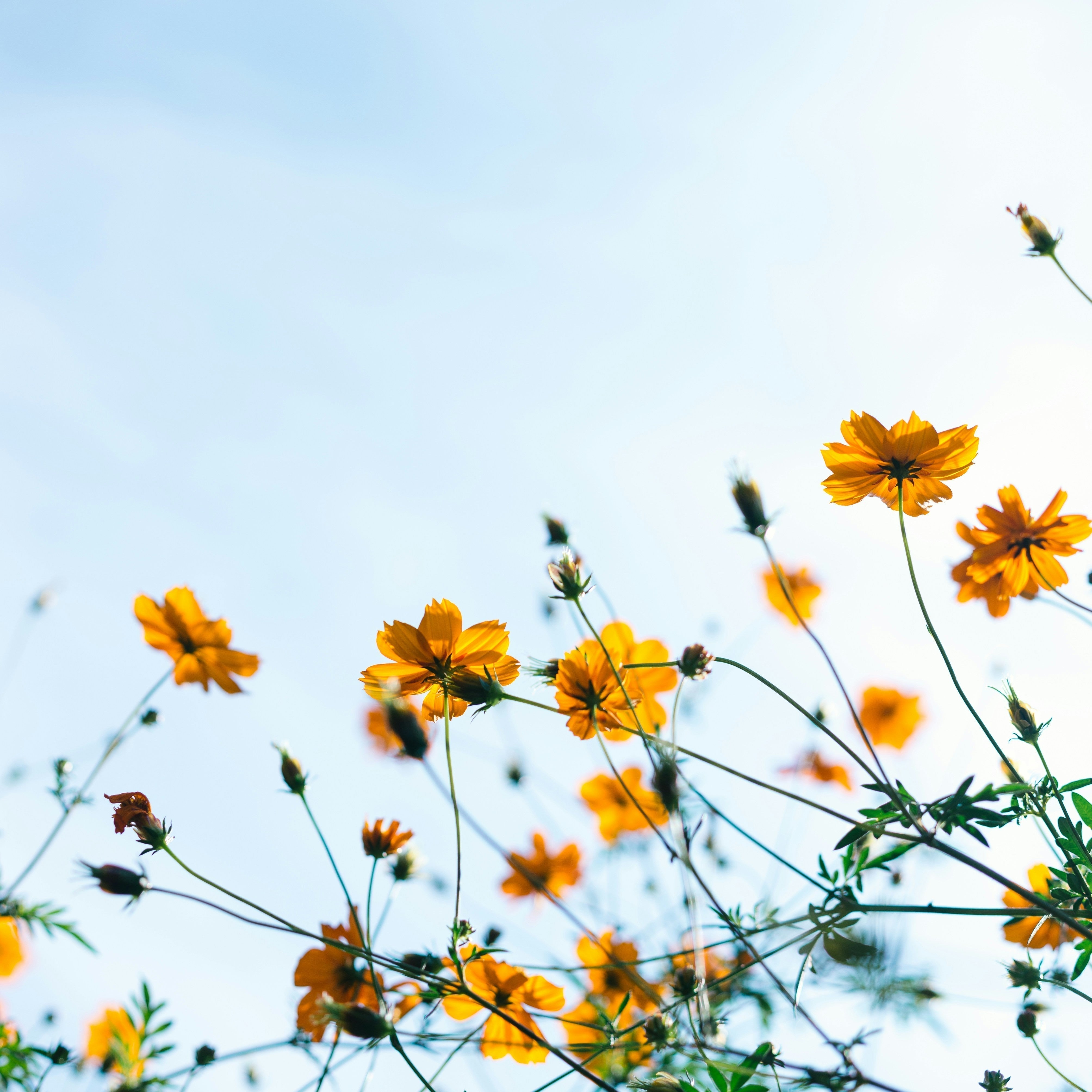 What's On In April