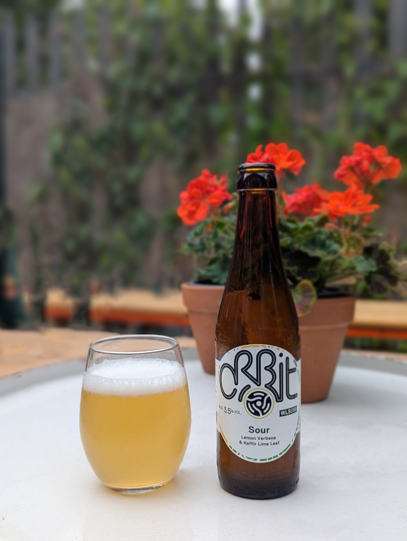 Lemon Verbena & Kaffir Lime Leaf Sour