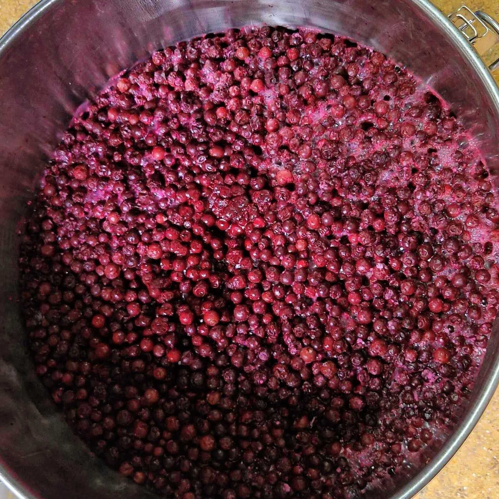 Chuckleberry Sour: Rare Fruits and New Techniques