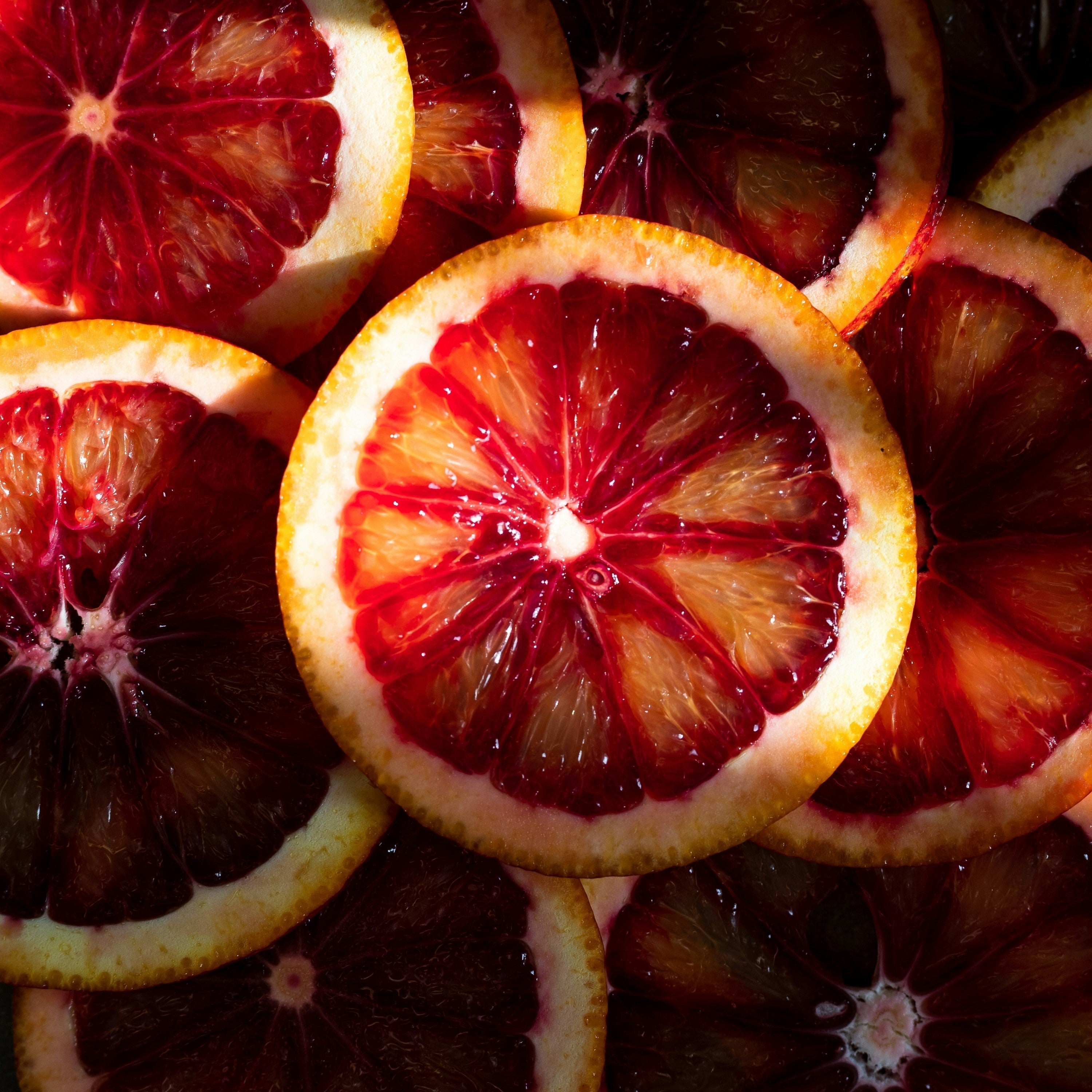 Two New April Sours: Dill Pickle Gose and Blood Orange & Lemon Thyme Sour