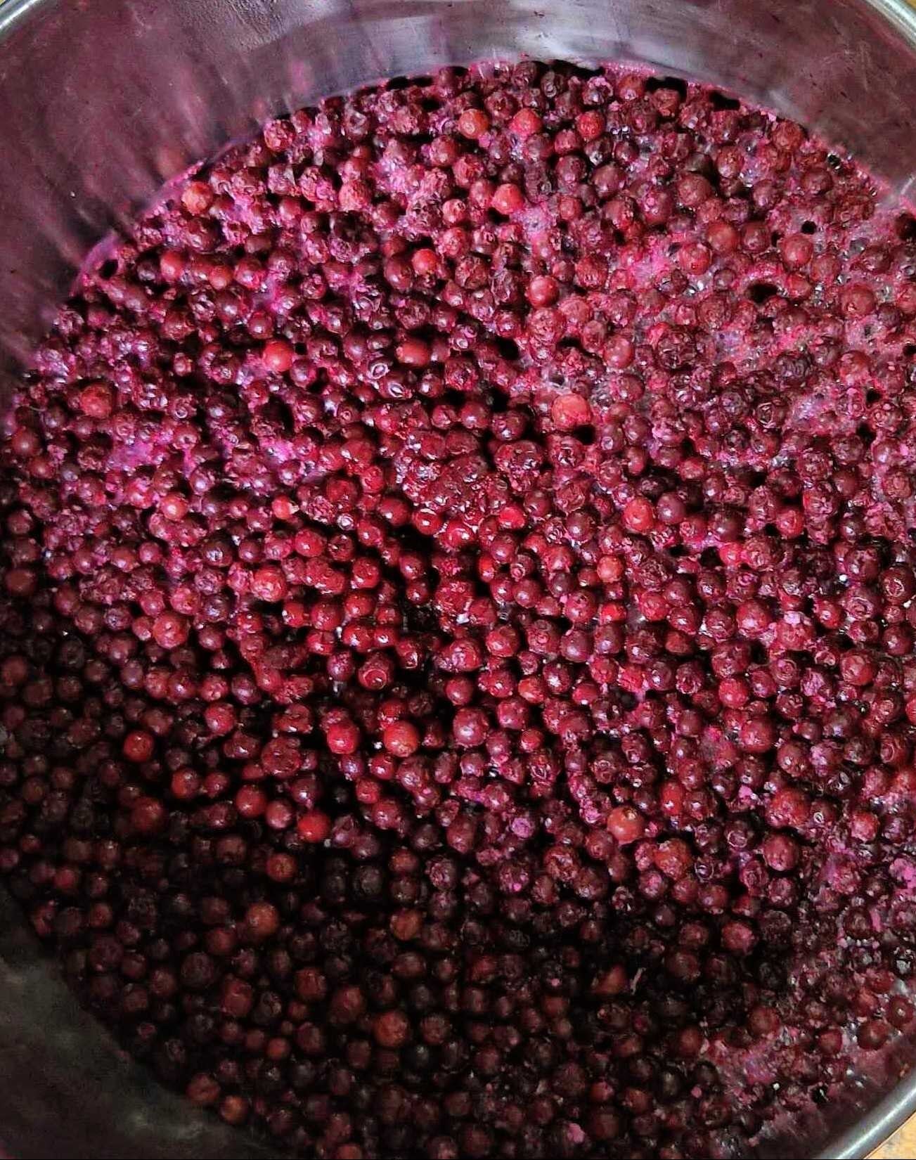 Metal bowl filled with Chuckleberries