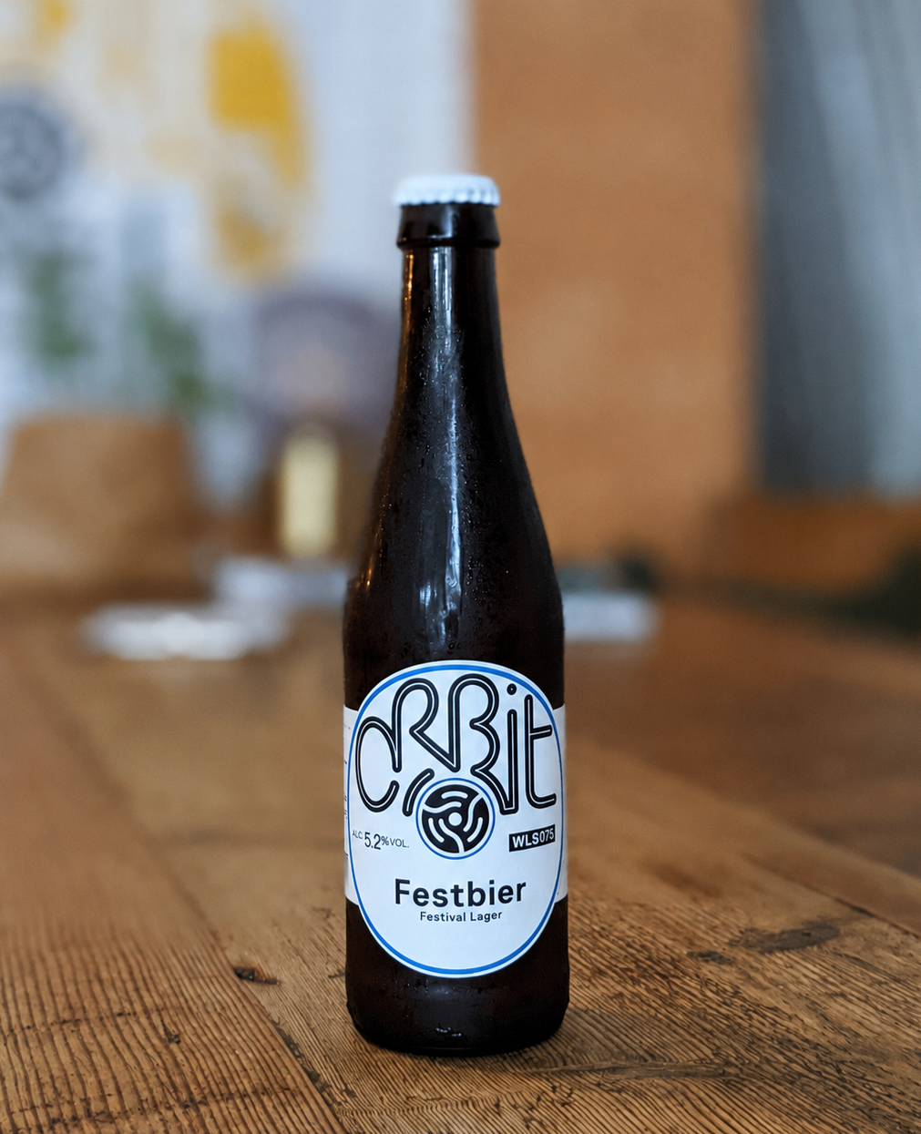 A dark brown glass bottle of Orbit Festbier alcoholic lager with a white cap and a white label, standing on a rustic wooden table with a blurred indoor background.