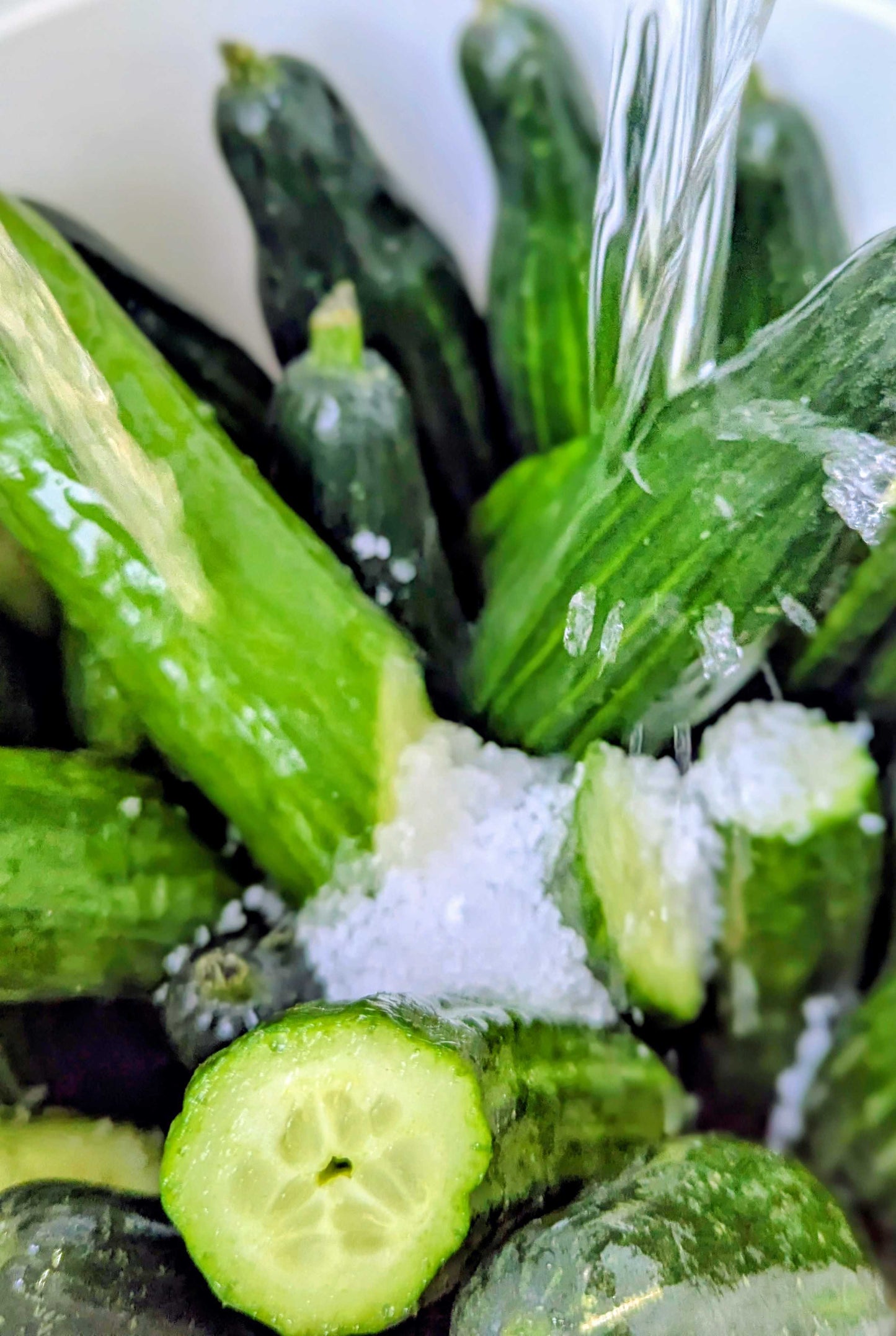 Dill Pickle Gose
