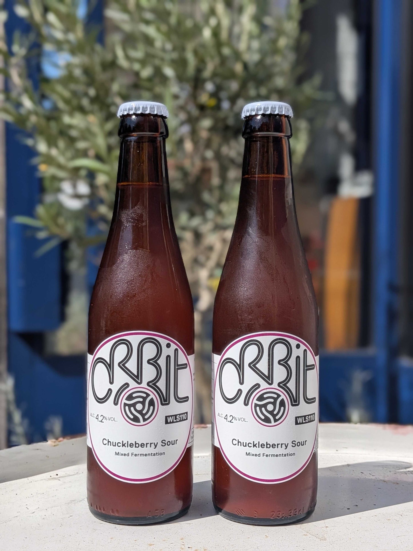 Chuckleberry Sour